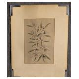Vintage Orchid Print
