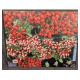 Canvas Printed Gallery Wrapped Radish Photo