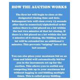 How the auction works