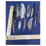 Bird feathers mixed lot