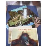 Vintage postcard lot