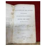 Vintage the juvenile budget opened book