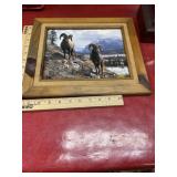 Bighorn sheep print in wood frame 11x13