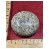 Polished fossil agate paperweight