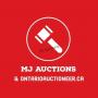 LIVE AUCTION - Spring Multi Consignor Auction