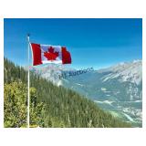 SHIPPING IN CANADA ONLY !!!