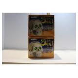 Scary Skull