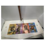 Teenage Mutant Ninja Turtles Books