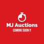 MJ Auctions : Hardware,Tools & More Clearing Auction