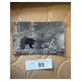 Bear Deer VTG RPPC Postcard