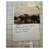 Air Force One Photograph