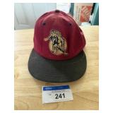 San Bernardino Stompers Hat