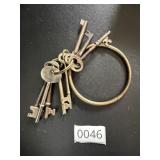Lot of Skeleton Keys on Ring