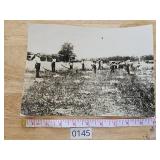 Vintage Farming Scene Movie Photo