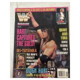 WWF MAGAZINE, JUNE 1994