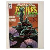 IDW COMICS TMNT URBAN LEGENDS #1