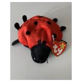 TY BEANIE BABIES LUCKY THE LADY BUG BIRTHDAY 5-1-1