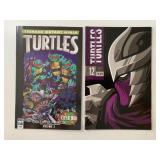 2 IDW COMICS TEENAGE MUTANT NINJA TURTLE #12 & 14