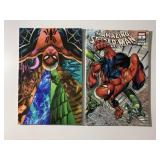 2 MARVEL COMICS THE AMAZING SPIDER-MAN BOOKS 2/#6