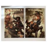 2 IMAGE COMICS THE WALKING DEAD DELUXE #14 & 15