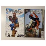 2 MARVEL COMICS THE AMAZING SPIDER-MAN BOOKS 2/#6
