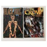 2 KITCHEN SINK COMICS THE CROW #2 & BLACK HOLE #11