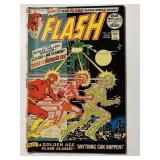 DC COMICS THE FLASH #216