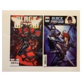 2 MARVEL COMICS BLACK WIDOW 2/#4
