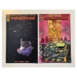 2 IDW COMICS TMNT THE ARMAGEDDON GAME #2 & 3