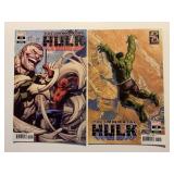 2 MARVEL COMICS THE IMMORTAL HULK #14 & 15