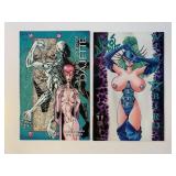 2 VEROTIK COMICS ADULT READ SEE DESC.