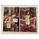 2 BOUNDLESS COMICS BELLA DONNA FIRE & FURY 2/#2