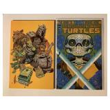 2 IDW COMICS TMNT #100 & 145