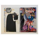 2 DC COMICS BLACK CANARY #10 & KID ETERNITY 3