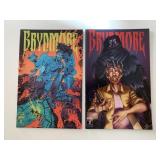 2 IDW COMICS BRYNMORE #2 & 3