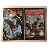 2 IDW COMICS TMNT #2 & 4 EASTMAN AND LAIRD