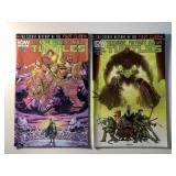 2 IDW COMICS TMNT #3 & 4 HISTORY OF THE FOOT CLAN