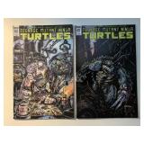 2 IDW COMICS TMNT #62 & 67