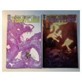 2 IDW COMICS TMNT #54 & 58