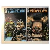 2 IDW COMICS TMNT #120 & 121