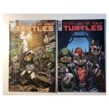 2 IDW COMICS TMNT #109 & 110