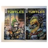 2 IDW COMICS TMNT #106 & 108