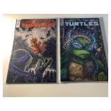 2 IDW COMICS TMNT #101 & 128