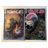 2 IDW COMICS TMNT #116 & 118