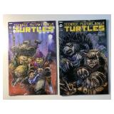 2 IDW COMICS TMNT #114 & 115
