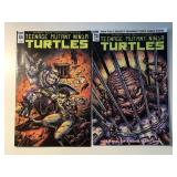 2 IDW COMICS TMNT #68 & 73
