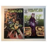 2 IDW COMICS TMNT #22 & 23