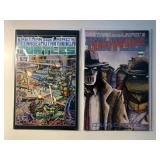 2 IDW COMICS TMNT #2 & 5 EASTMAN AND LAIRD