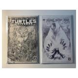 2 IDW COMICS TMNT #66 & #17 TMNT UNIVERSE
