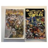 2 IDW COMICS TMNT #2 & 3 EASTMAN AND LAIRD